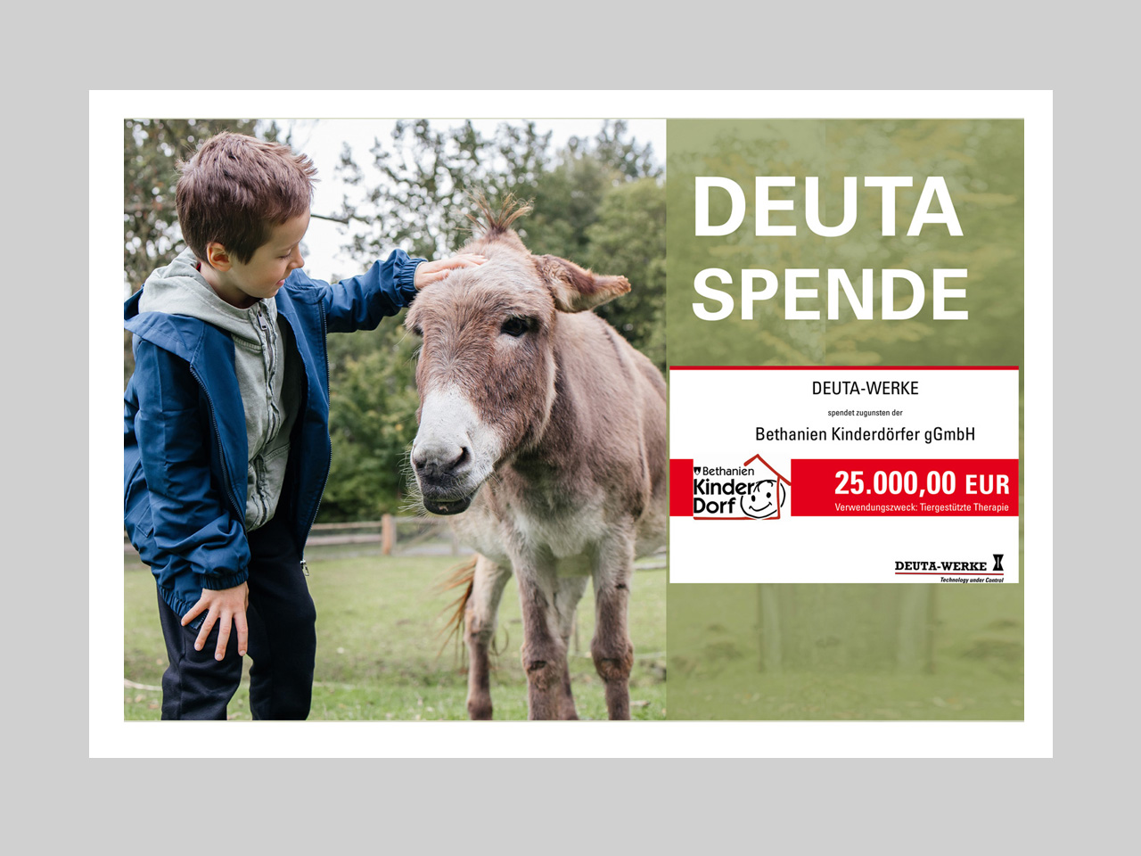 25,000 euros for animal-assisted therapy